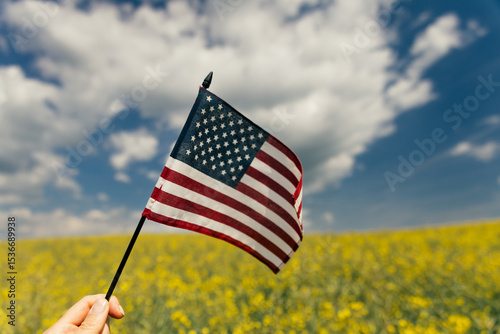 Wallpaper Mural Hand holding the American flag for Independence Day - 4th of July.  Torontodigital.ca