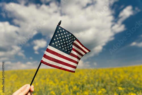 Wallpaper Mural Hand holding the American flag for Independence Day - 4th of July.  Torontodigital.ca