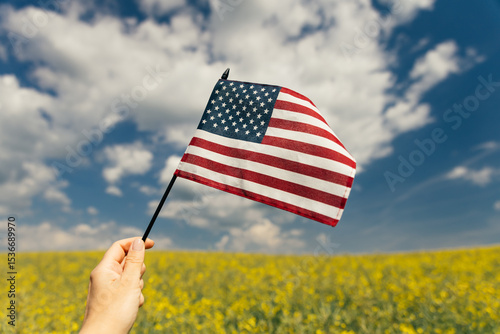 Wallpaper Mural Hand holding the American flag for Independence Day - 4th of July.  Torontodigital.ca
