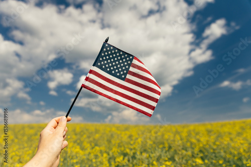 Wallpaper Mural Hand holding the American flag for Independence Day - 4th of July.  Torontodigital.ca