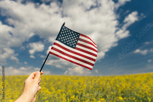 Wallpaper Mural Hand holding the American flag for Independence Day - 4th of July.  Torontodigital.ca