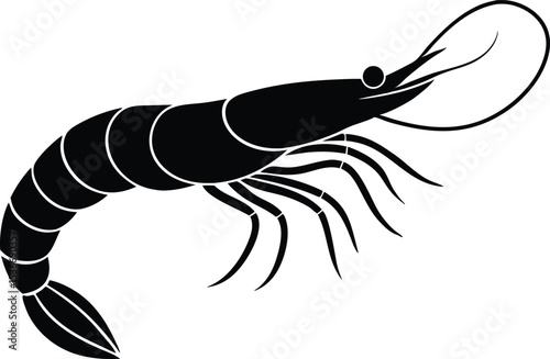 shrimp vector illustration