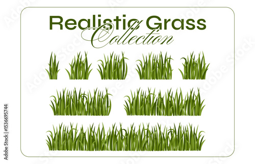 Cartoon Grass Border Set. Flat Grass Vector Collection for Landscape Design. Green grass seamless pattern pack in flat style isolated on white background.