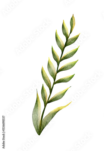 Green leafy plant illustration showcasing intricate details and shades captured against a plain background