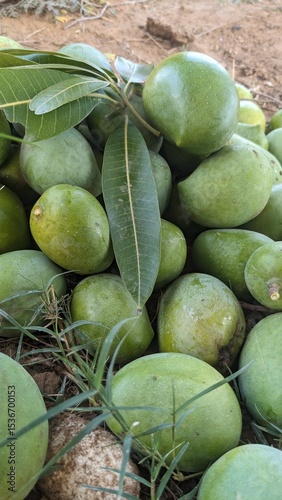 Asian tropical fruit with a background of green mango texture