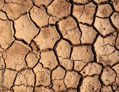 Rustic cracked earth texture — overhead view, brown tones with high-contrast cracks and dried soil patterns