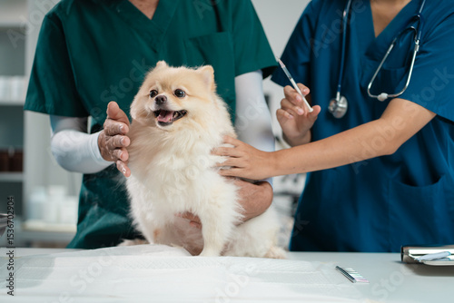 veterinarian and an assistant fill out a sick puppy history