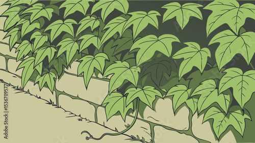 Dense wall of vibrant green ivy leaves covers stone wall, creating lush and inviting atmosphere
