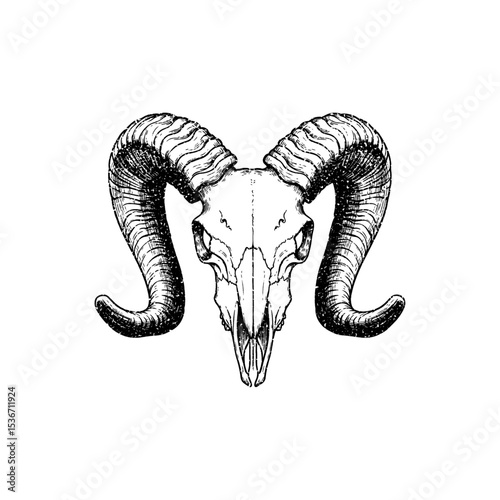 Illustration of a ram skull in vintage stipple engraving style isolated on transparent background