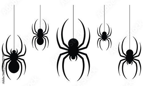 Five black spiders hanging on white background