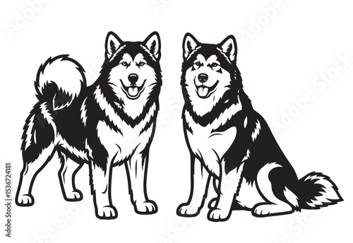 Happy Alaskan Malamute dogs standing and sitting together in a detailed black and white vector illustration on white background. Pet