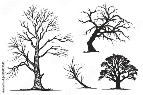 set of trees