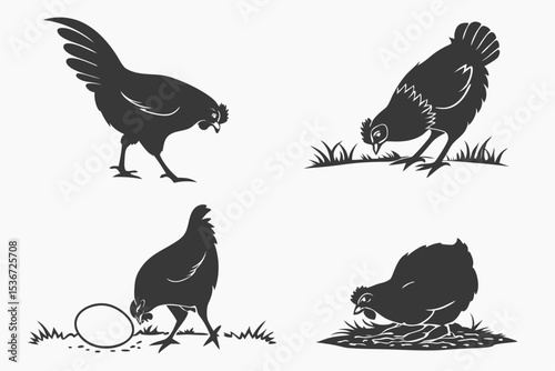 set of chicken