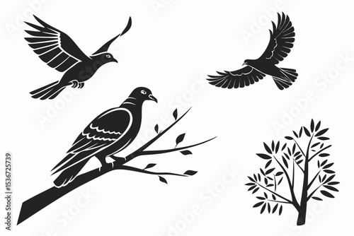 eagle and bird