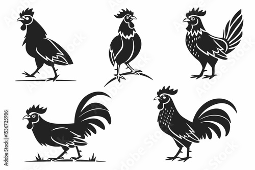 rooster and hen