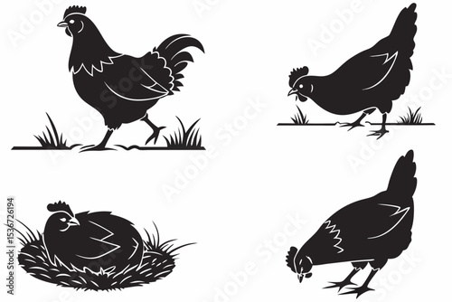 set of chicken