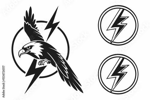 bird of prey