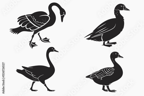 set of geese