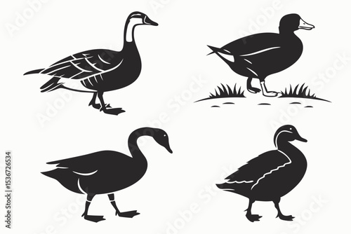 set of geese