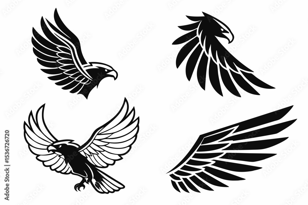 Obraz premium set of wings