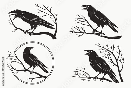 set of birds