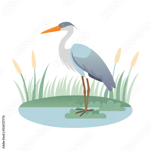 Elegant heron stands by serene pond surrounded by tall grasses under bright daylight in a tranquil nature setting