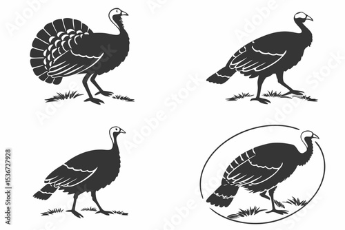 set of wild animals