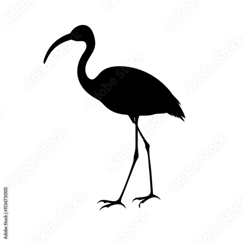 Black silhouette of a bird standing in a natural pose against a plain background