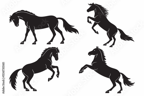 black and white horses