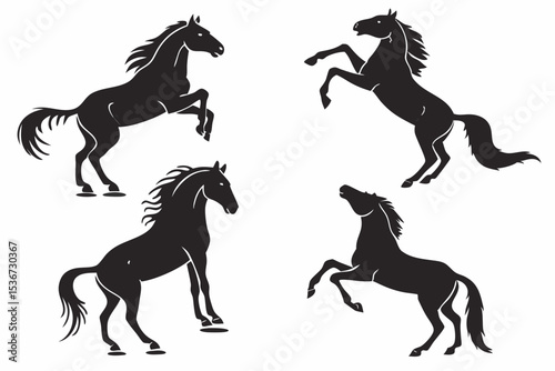 horse and rider silhouettes