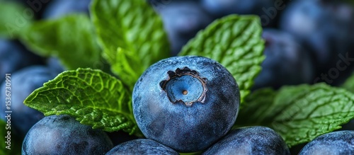 Close-up of fresh blueberries with mint leaves.
