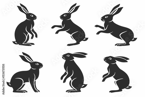 vector set of rabbits