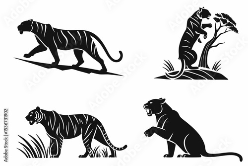 zebra vector illustration