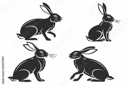 black and white rabbits