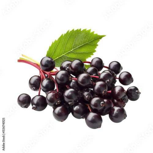 Fresh ripe black elderberries with green leaf on black background
