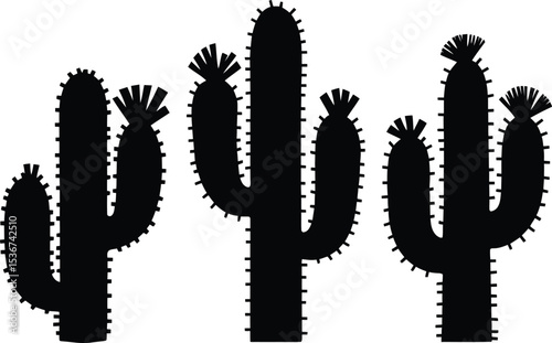 Three Black Cactus Silhouettes Isolated on White Background Desert Plant Vector Illustration