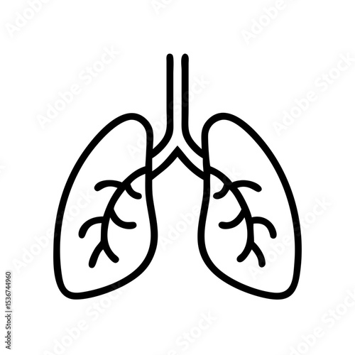 Illustration of human lungs showing bronchial structure and airways in a clean and minimalistic design