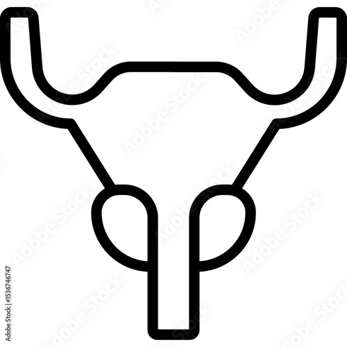 PROSTATE GLAND 
