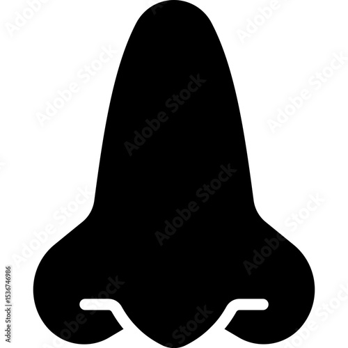 NOSE 
