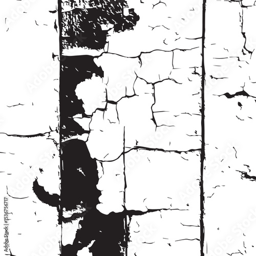 Grunge Texture Black and White Crackle Wall Background