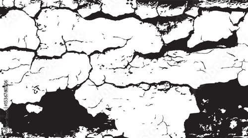 Dramatic Black and White Crackle Texture Abstract Background