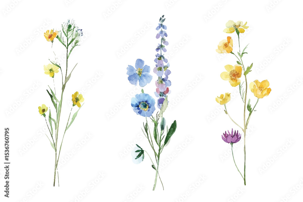 Naklejka premium Adobe Illustrator Artwork