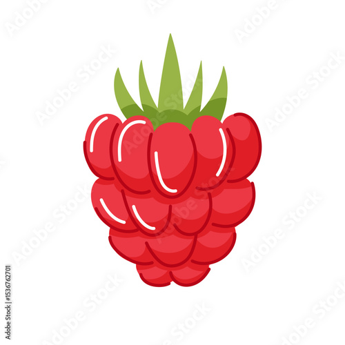 Raspberry fruit with leaf in flat style isolated on a white background.