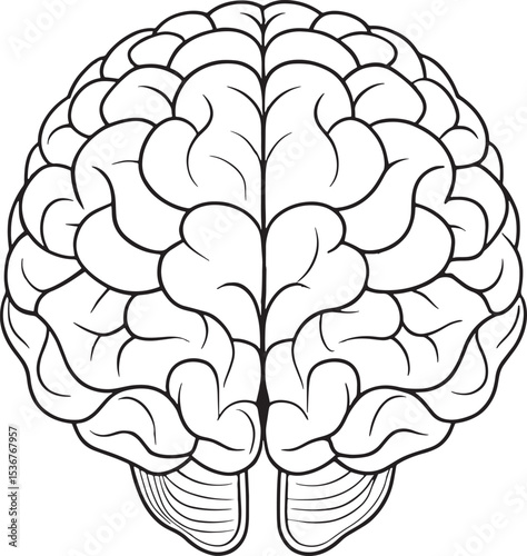 Human brain medical symbol representing thought process and intelligent mind power science