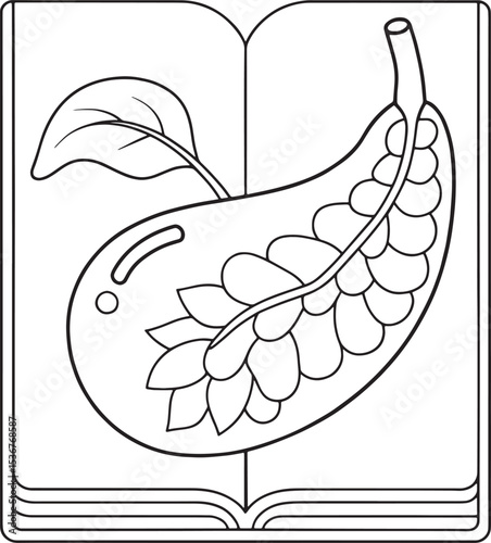 Open book illustrating detailed fruit anatomy coloring page design