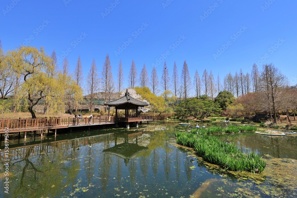 Obraz premium 경상남도수목원의 봄 풍경