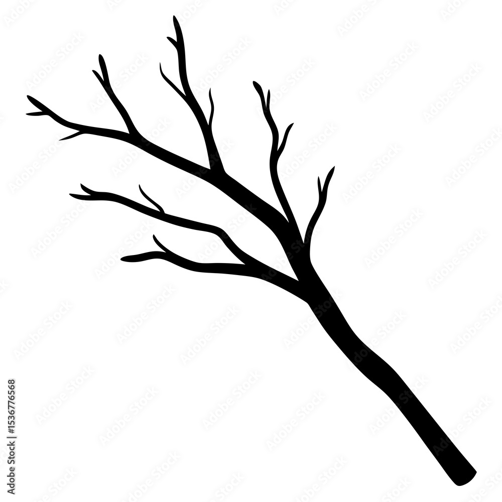Fototapeta premium silhouette of a tree