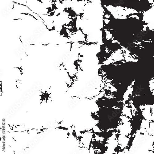 Monochromatic Abstract Texture Black and White Ink Splatter Pattern