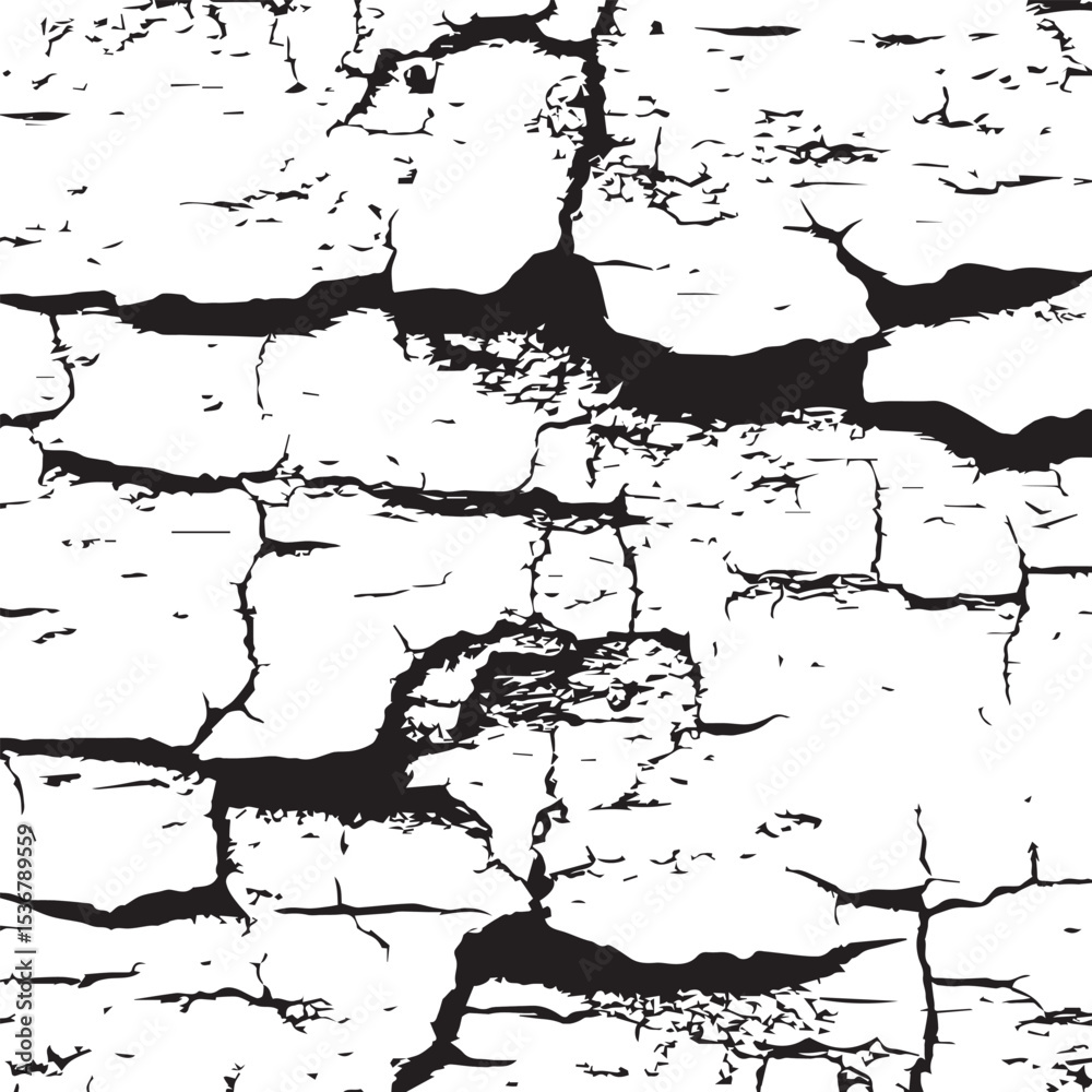 Naklejka premium Cracked Texture Distressed Black and White Surface Background