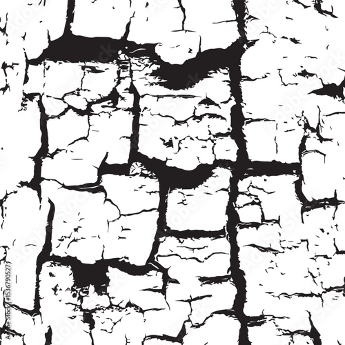 Cracked Texture Black and White Distress Overlay for Design Projects